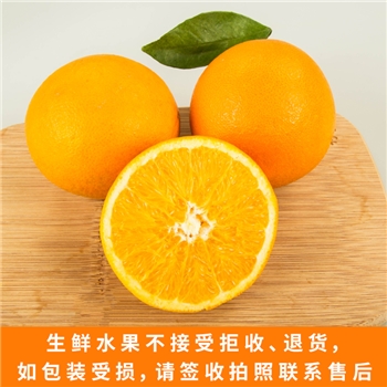 富川脐橙一级果  带箱10斤装（净重约9斤）